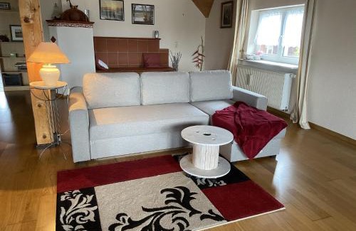 Niedergebisbach Apartment | Alpine Stay in Herrischried