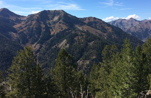 Alpine House | Alpine, Wy Mountain Get Away. Adventurers Paradise.
