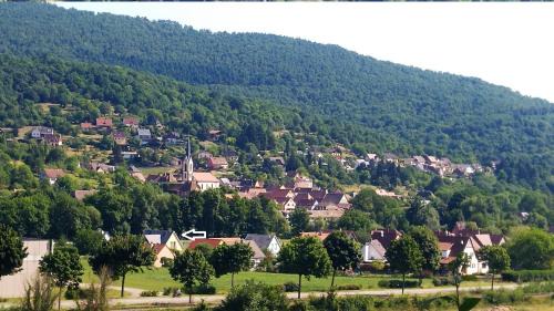 Gunsbach Bed & Breakfast | Alsace nature et découvertes
