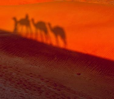 Bidiya Other | Alsarmadi Desert Camp