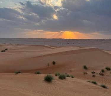 Bidiya Other | Alsarmadi Desert Camp