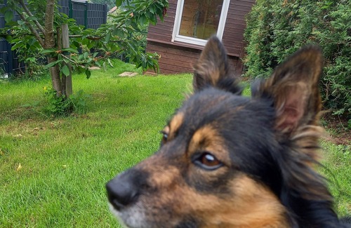 Bad Duerkheim Apartment | Also for pets - forests and castles in the middle of nature await you 🐕🌳🏰