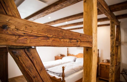 Guenzburg House | alte Ritterstube
