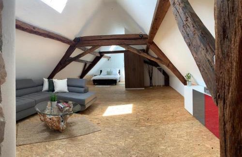 Birkweiler Apartment | Alte Scheune Birkweiler
