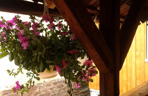 Calmbach Apartment | Alte Schmiede
