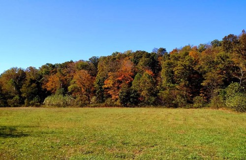 McArthur Other | Altenbrauch Farm - Camping in the Hocking Hills
