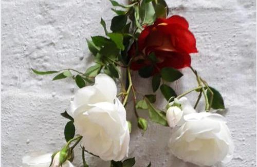 Swakopmund Bed & Breakfast | Alternative Space B & B