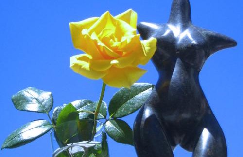 Swakopmund Bed & Breakfast | Alternative Space B & B