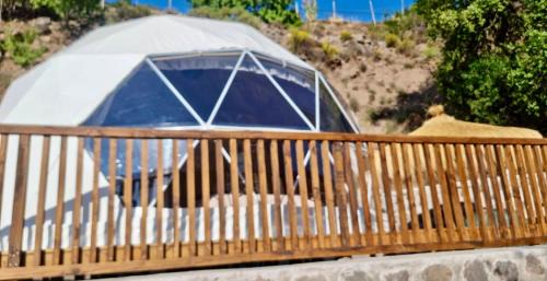 Melocoton Other | Altos de Guayacan