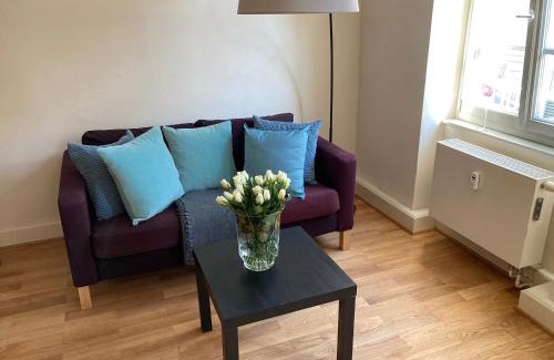 Heidelberg City Centre Apartment | Altstadt