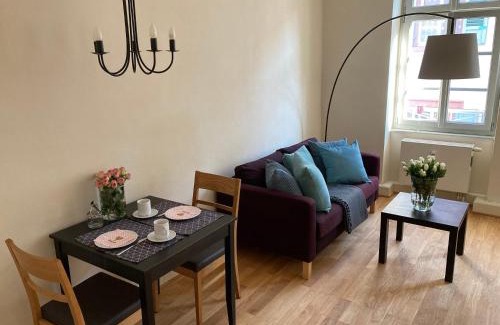 Heidelberg City Centre Apartment | Altstadt