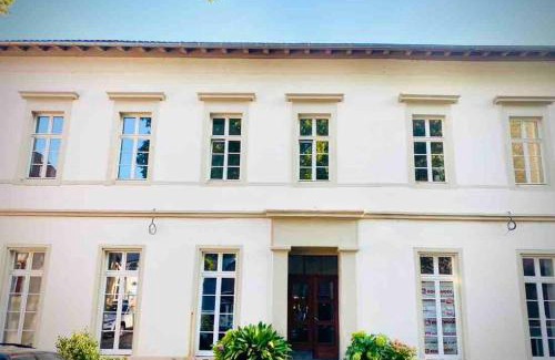 Mainz-Bingen Apartment | Altstadt pur!An der wunderschönen Katharinenkirche