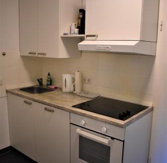 Heidelberg City Centre Apartment | Altstadtblick