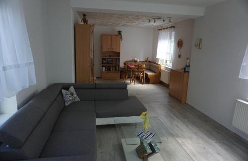 Lauter Apartment | Am Sachsenstein - Zum Skispringer