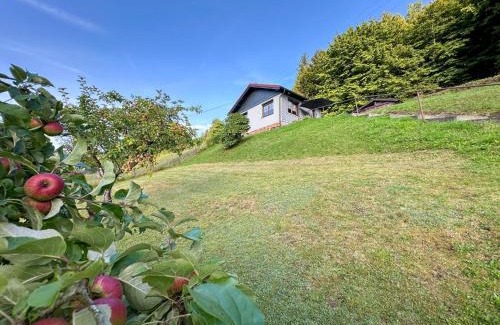 Schleusegrund House | Am Steinberg