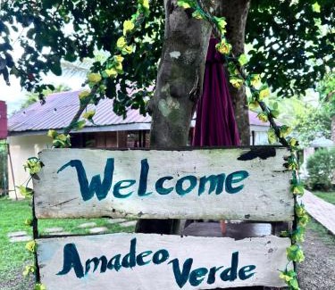 Amadeo Other | Amadeo Verde