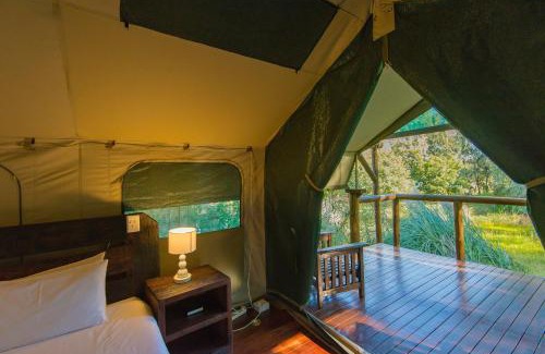 Greater Johannesburg Metropolitan Area Cabin | Amadwala Lodge