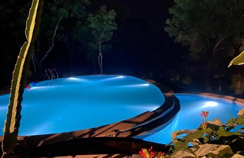 Udaipur Villa | Amaltas