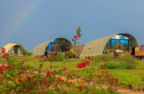 Amboseli RV Rental | Amanya 1-bed Elephant Suite Tent