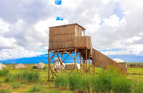 Amboseli RV Rental | Amanya 1-bed Leopard Family With Mt Kilimanjaro vi - Campsite