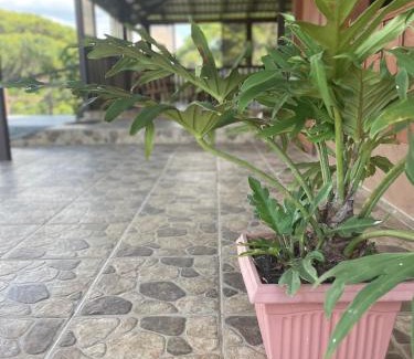 Chilamate Apartment | Amazilia