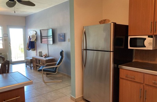 Puntas Condo | Amazing 3BR 3BA Phouse, Ocean Views, 1 Blk From Sandy Beach!