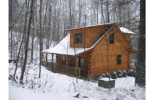 Robbinsville Cabin | AMAZING & COZY LOG CABIN IN WOODS