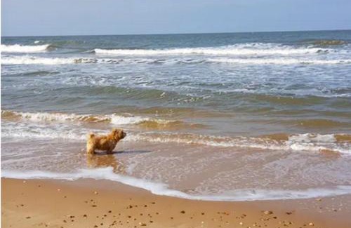 Chapel Saint Leonards House | Amazing Family Cottage Just mins to Beach & Attractions, 3 bed, Sleeps 5, Large Garden, Off Road Private Parking, Fab Free WiFi & Pets are Welcome too! The Perfect Family holiday Getaway!