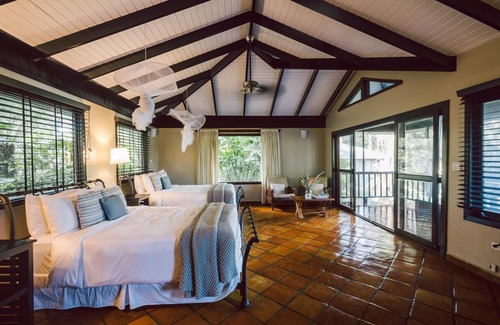 Punta Gorda Resort | Amazing Floor-to-Ceiling Jungle Views Suite w/WiFi & Air Conditioning