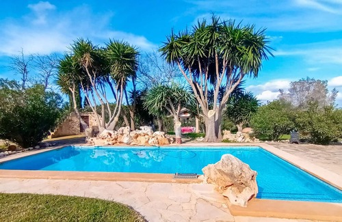 Petra House | Amazing home in Petra