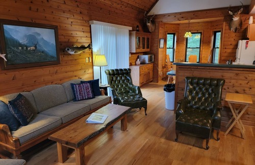 Irons Ski Chalet | Amazing location in Irons Michigan is the fabulous Cool Creek Chalet.