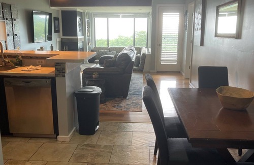 Nellysford Condo | Amazing Mountain views - Ski In Ski Out - Wifi - fireplace - Pets OK