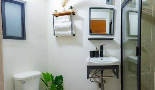 Zona Rosa Apartment | Amazing Suite a few steps Reforma & US Embassy