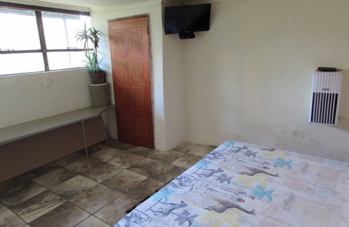 Thorny Bush Game Reserve House | Amazing "tree in lounge" Eco apartment with leopards passing by at night