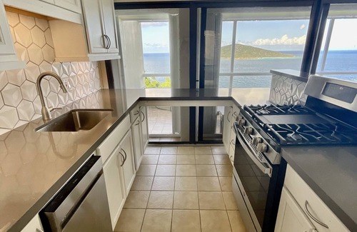 Rosendal Condo | Amazing Views, 5 minutes to Magens Bay-1BR/1BA Villa at Mahogany Run