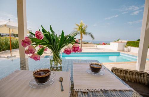 Agios Georgios Pegeias Villa | Amazing Villa with panoramic sea view