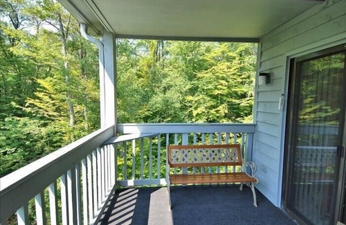 Davis Condo | Amazingly affordable lodging in the center of Canaan Valley!
