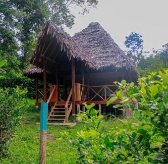 Iquitos Cabin | Amazon Uaturi Lodge