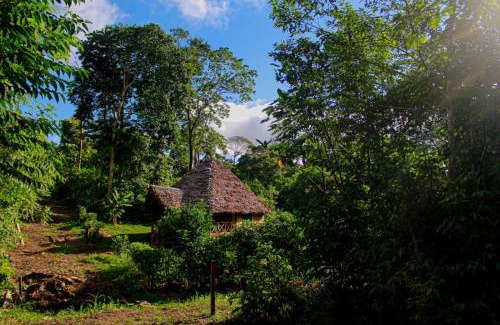 Iquitos Cabin | Amazon Uaturi Lodge