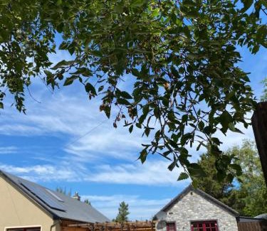 Oughterard House | Amber Carron