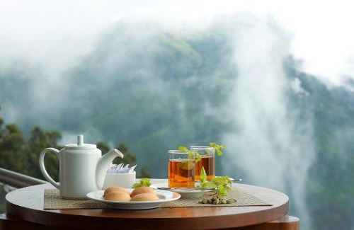 Pallivasal Hotel | Amber Dale Luxury Hotel & Spa, Munnar