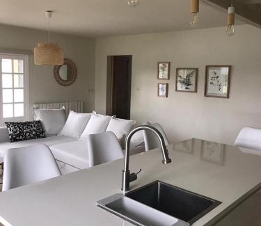 Thomery Apartment | Ambiance Seine - appartement 46m2 terrasse - Hortensia