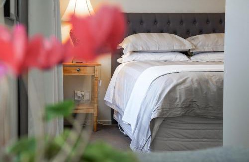 Palmerston North Bed & Breakfast | Ambience on Pacific