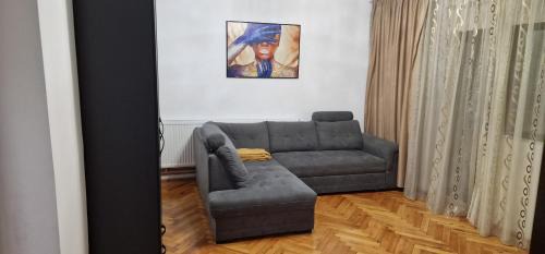 Timisoara Apartment | Amedeea Accomodation 2