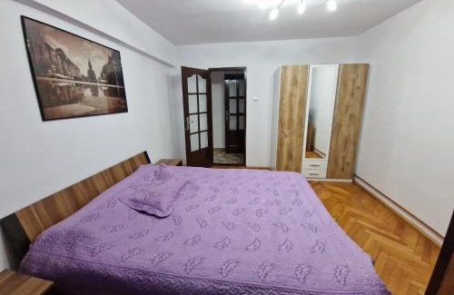 Timisoara Apartment | Amedeea Accomodation 2