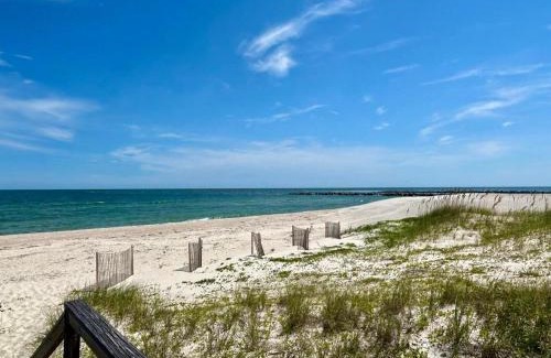 Plantation House | Amelia-Beachfront-Private Pool-Pet Friendly-Game Room