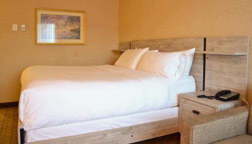 Parkhill-Stanley Park Hotel | Amenida Residences, Calgary