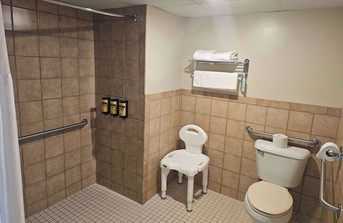 Birch Run Hotel | Americinn by Wyndham Birch Run/Frankenmuth