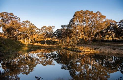 Grattai Cabin | Amethyst - 1 Bed with Hot Tub - Kundalini Lodge
