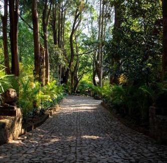 Santo Domingo Hotel | Amomoxtli